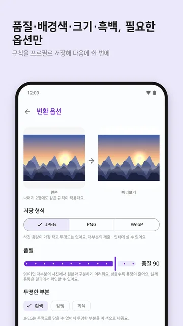 형식·품질·투명 배경·긴 변을 고르는 변환 옵션 화면
